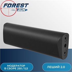 Модератор в сборе 250 / 5,5 для Эдган Леший 2.0 / EDgun Leshiy Supressor assembled 250 (5,5) - фото 16190