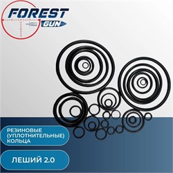 Ремкомплект полный N3 для Эдган Леший 2, (редуктор модульный и нового образца + электроманометр) 24273333